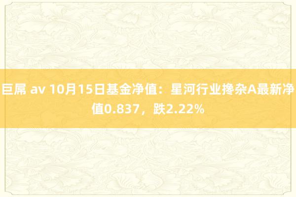 巨屌 av 10月15日基金净值：星河行业搀杂A最新净值0.837，跌2.22%