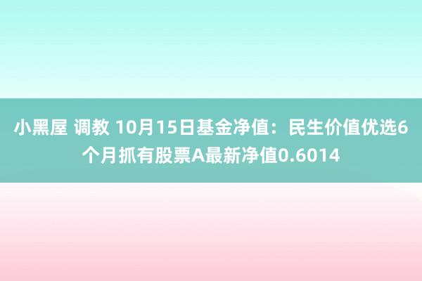 小黑屋 调教 10月15日基金净值：民生价值优选6个月抓有股票A最新净值0.6014