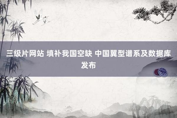 三级片网站 填补我国空缺 中国翼型谱系及数据库发布