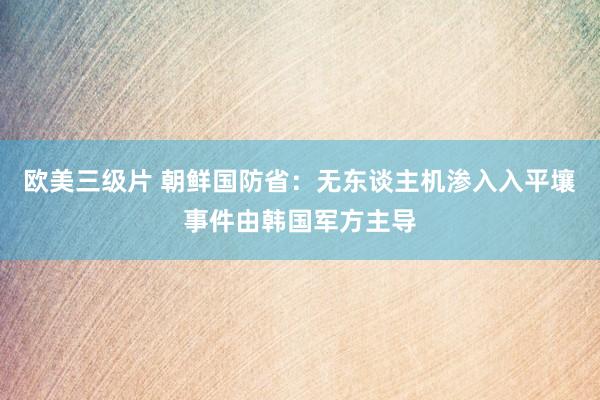 欧美三级片 朝鲜国防省：无东谈主机渗入入平壤事件由韩国军方主导