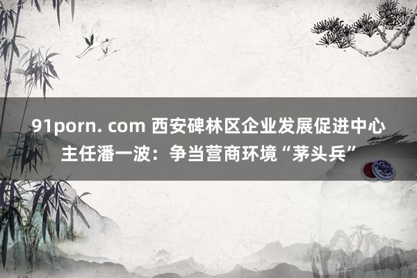 91porn. com 西安碑林区企业发展促进中心主任潘一波：争当营商环境“茅头兵”