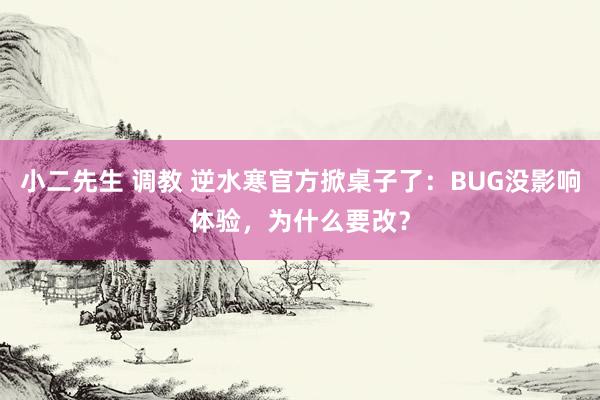 小二先生 调教 逆水寒官方掀桌子了：BUG没影响体验，为什么要改？
