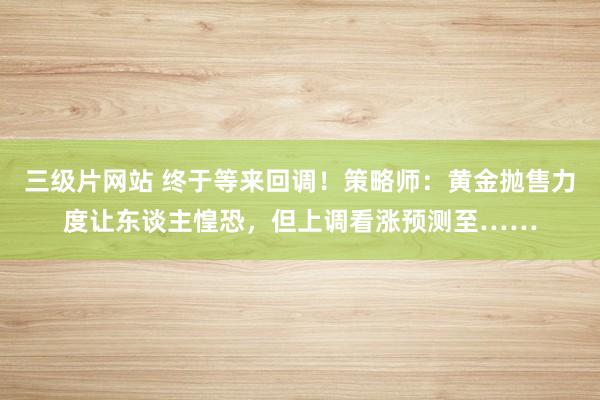 三级片网站 终于等来回调！策略师：黄金抛售力度让东谈主惶恐，但上调看涨预测至……