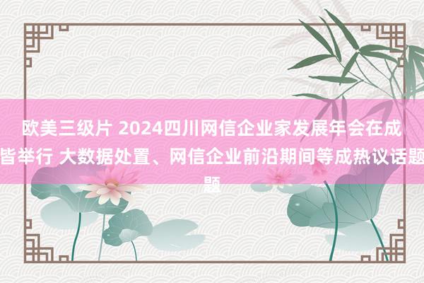 欧美三级片 2024四川网信企业家发展年会在成皆举行 大数据处置、网信企业前沿期间等成热议话题
