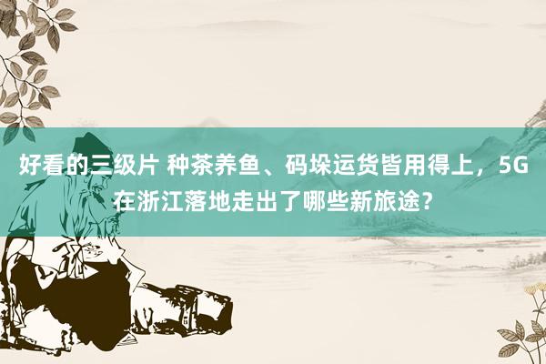 好看的三级片 种茶养鱼、码垛运货皆用得上，5G在浙江落地走出了哪些新旅途？