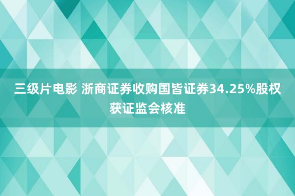 三级片电影 浙商证券收购国皆证券34.25%股权获证监会核准