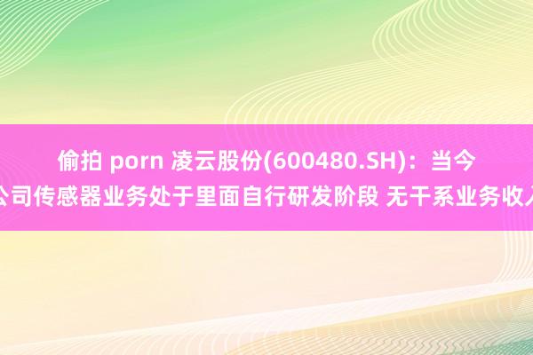 偷拍 porn 凌云股份(600480.SH)：当今公司传感器业务处于里面自行研发阶段 无干系业务收入