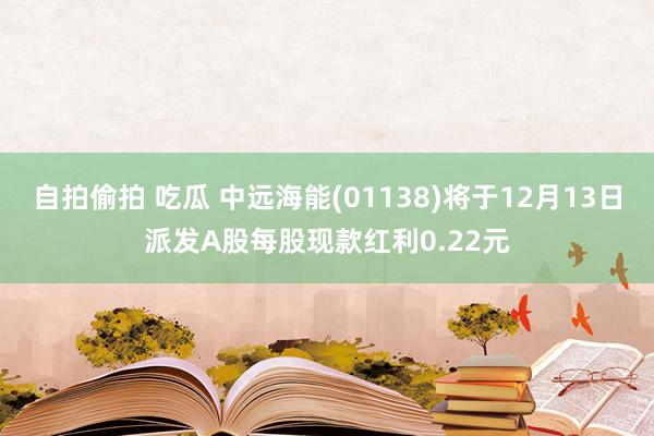自拍偷拍 吃瓜 中远海能(01138)将于12月13日派发A股每股现款红利0.22元
