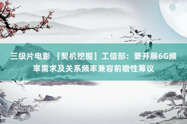 三级片电影 【契机挖掘】工信部：要开展6G频率需求及关系频率兼容前瞻性筹议