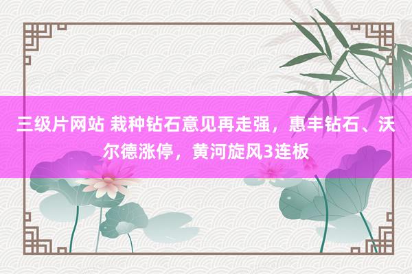 三级片网站 栽种钻石意见再走强，惠丰钻石、沃尔德涨停，黄河旋风3连板