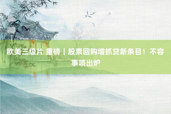 欧美三级片 重磅｜股票回购增抓贷新条目！不容事项出炉
