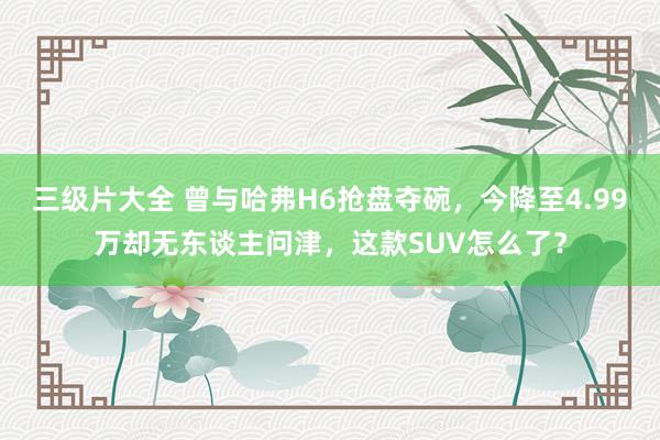 三级片大全 曾与哈弗H6抢盘夺碗，今降至4.99万却无东谈主问津，这款SUV怎么了？