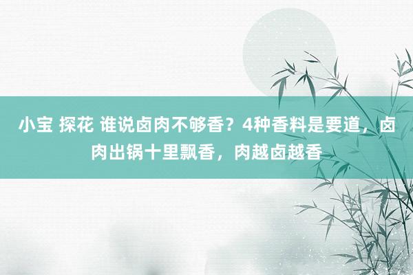 小宝 探花 谁说卤肉不够香？4种香料是要道，卤肉出锅十里飘香，肉越卤越香