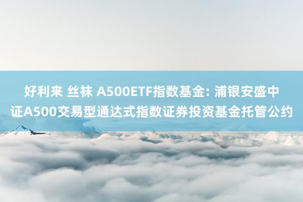 好利来 丝袜 A500ETF指数基金: 浦银安盛中证A500交易型通达式指数证券投资基金托管公约