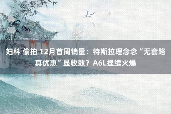 妇科 偷拍 12月首周销量：特斯拉理念念“无套路真优惠”显收效？A6L捏续火爆