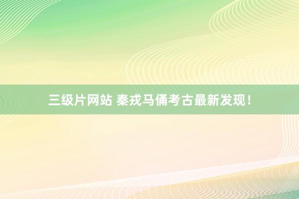 三级片网站 秦戎马俑考古最新发现！