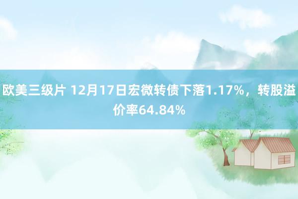 欧美三级片 12月17日宏微转债下落1.17%，转股溢价率64.84%