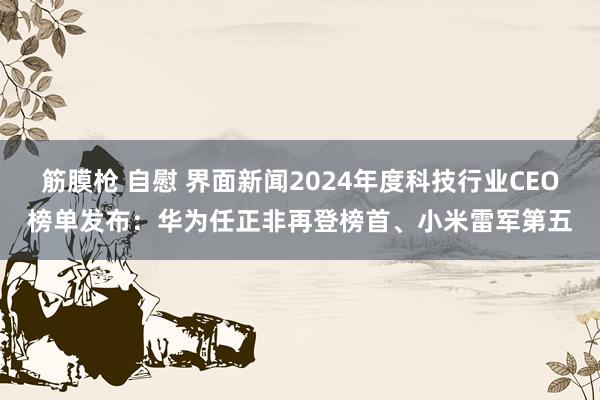筋膜枪 自慰 界面新闻2024年度科技行业CEO榜单发布：华为任正非再登榜首、小米雷军第五