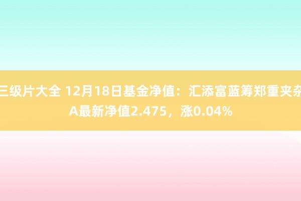 三级片大全 12月18日基金净值：汇添富蓝筹郑重夹杂A最新净值2.475，涨0.04%