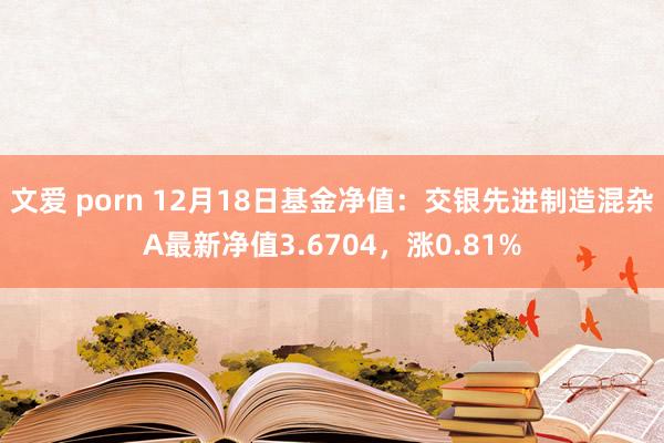 文爱 porn 12月18日基金净值：交银先进制造混杂A最新净值3.6704，涨0.81%