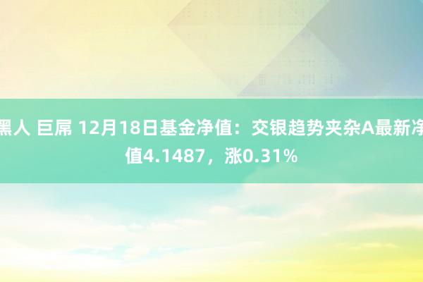黑人 巨屌 12月18日基金净值：交银趋势夹杂A最新净值4.1487，涨0.31%