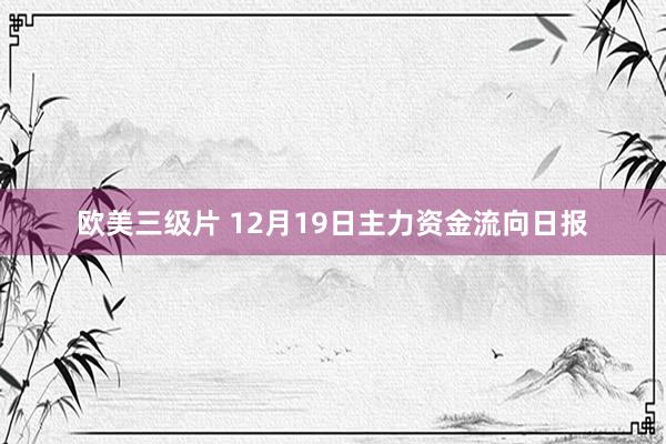 欧美三级片 12月19日主力资金流向日报