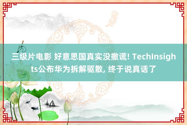三级片电影 好意思国真实没撒谎! TechInsights公布华为拆解驱散， 终于说真话了