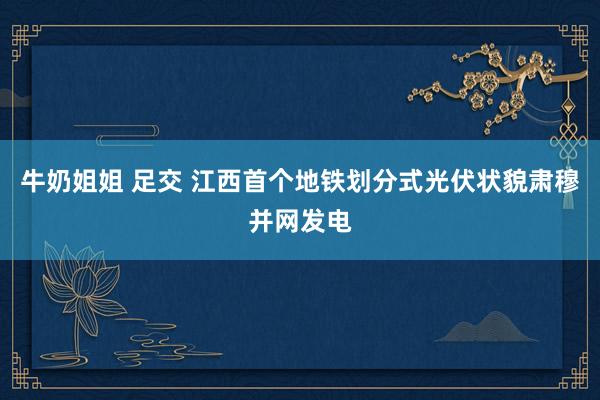 牛奶姐姐 足交 江西首个地铁划分式光伏状貌肃穆并网发电