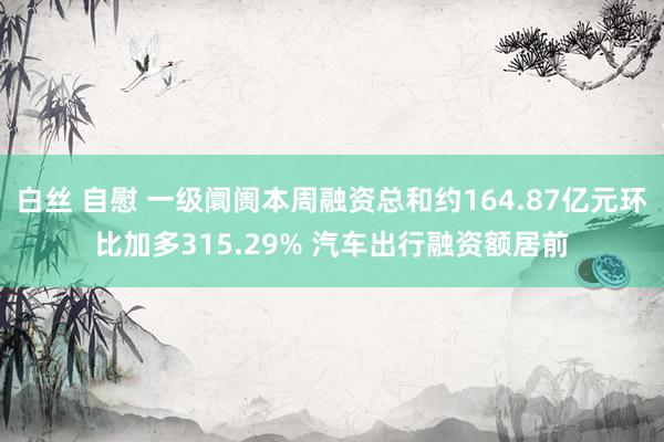 白丝 自慰 一级阛阓本周融资总和约164.87亿元环比加多315.29% 汽车出行融资额居前