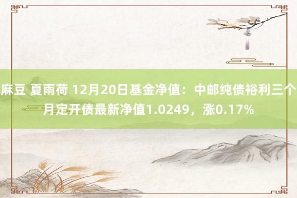 麻豆 夏雨荷 12月20日基金净值：中邮纯债裕利三个月定开债最新净值1.0249，涨0.17%