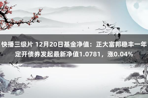 快播三级片 12月20日基金净值：正大富邦稳丰一年定开债券发起最新净值1.0781，涨0.04%