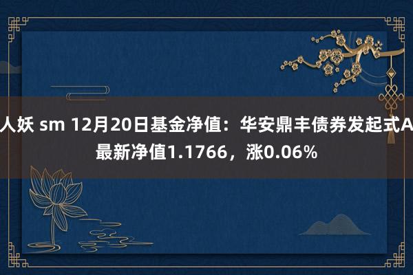 人妖 sm 12月20日基金净值：华安鼎丰债券发起式A最新净值1.1766，涨0.06%