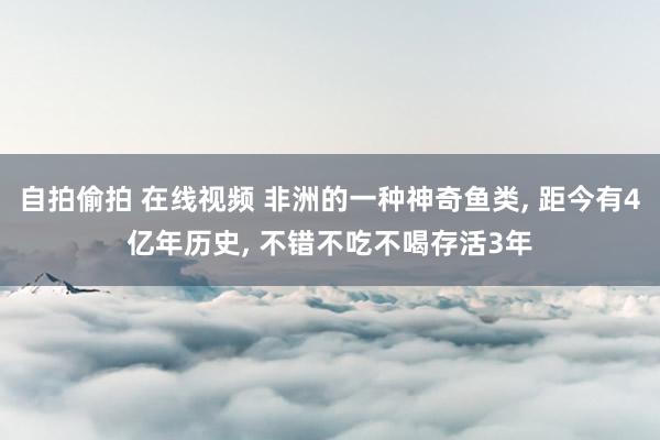自拍偷拍 在线视频 非洲的一种神奇鱼类， 距今有4亿年历史， 不错不吃不喝存活3年