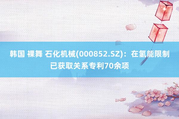 韩国 裸舞 石化机械(000852.SZ)：在氢能限制已获取关系专利70余项