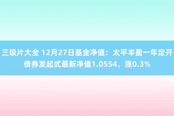 三级片大全 12月27日基金净值：太平丰盈一年定开债券发起式最新净值1.0554，涨0.3%