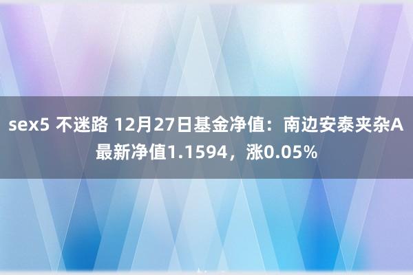sex5 不迷路 12月27日基金净值：南边安泰夹杂A最新净值1.1594，涨0.05%