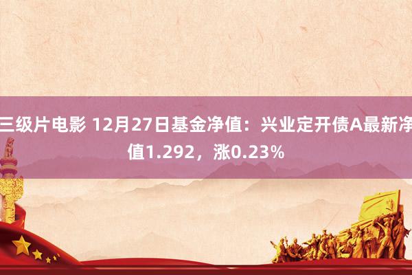 三级片电影 12月27日基金净值：兴业定开债A最新净值1.292，涨0.23%