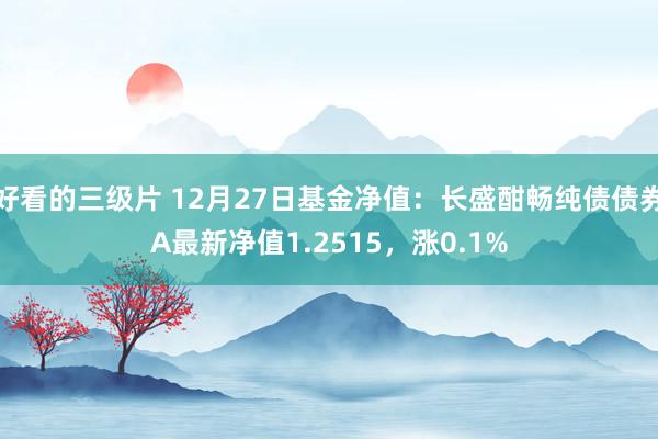 好看的三级片 12月27日基金净值：长盛酣畅纯债债券A最新净值1.2515，涨0.1%