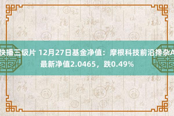 快播三级片 12月27日基金净值：摩根科技前沿搀杂A最新净值2.0465，跌0.49%