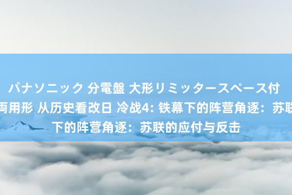 パナソニック 分電盤 大形リミッタースペース付 露出・半埋込両用形 从历史看改日 冷战4: 铁幕下的阵营角逐：苏联的应付与反击