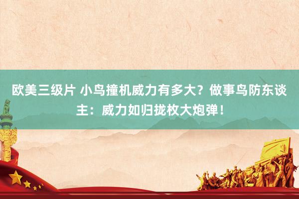 欧美三级片 小鸟撞机威力有多大？做事鸟防东谈主：威力如归拢枚大炮弹！