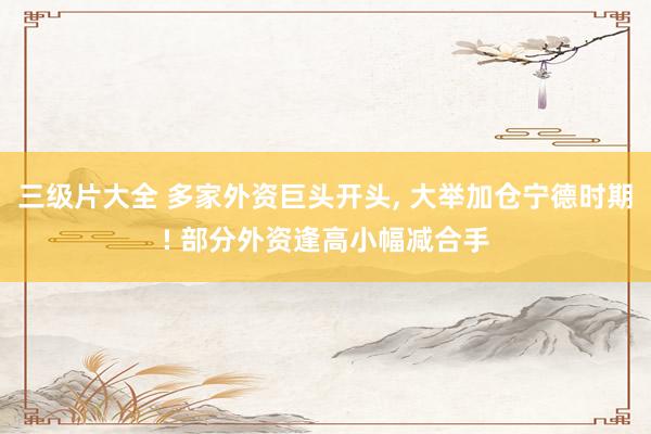 三级片大全 多家外资巨头开头， 大举加仓宁德时期! 部分外资逢高小幅减合手