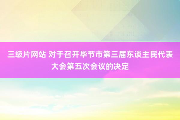 三级片网站 对于召开毕节市第三届东谈主民代表大会第五次会议的决定