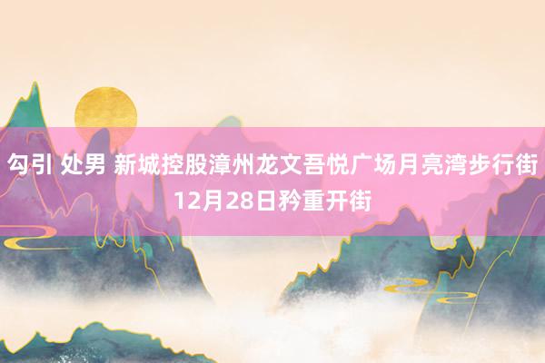 勾引 处男 新城控股漳州龙文吾悦广场月亮湾步行街12月28日矜重开街