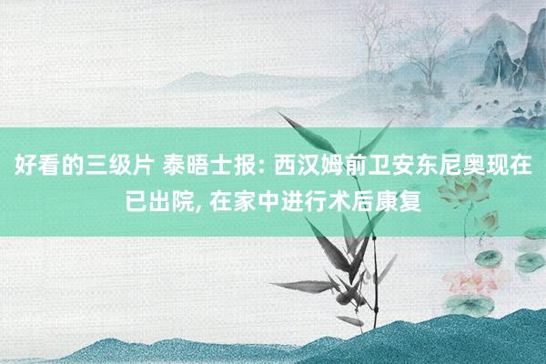 好看的三级片 泰晤士报: 西汉姆前卫安东尼奥现在已出院， 在家中进行术后康复
