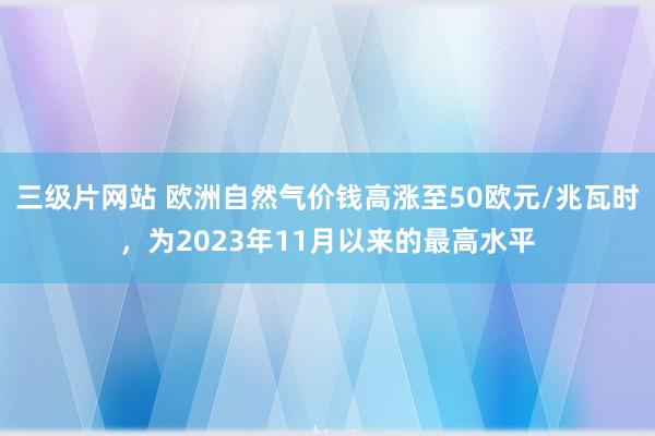 三级片网站 欧洲自然气价钱高涨至50欧元/兆瓦时，为2023年11月以来的最高水平