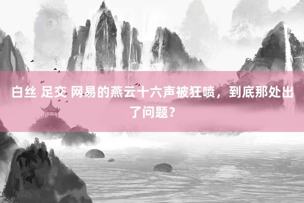白丝 足交 网易的燕云十六声被狂喷，到底那处出了问题？