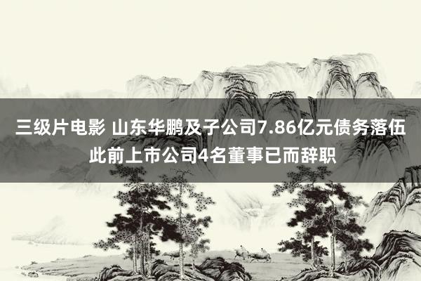 三级片电影 山东华鹏及子公司7.86亿元债务落伍 此前上市公司4名董事已而辞职