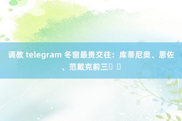 调教 telegram 冬窗最贵交往:库蒂尼奥、恩佐、范戴克前三❗❗