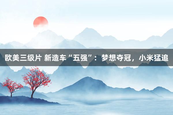 欧美三级片 新造车“五强”：梦想夺冠，小米猛追